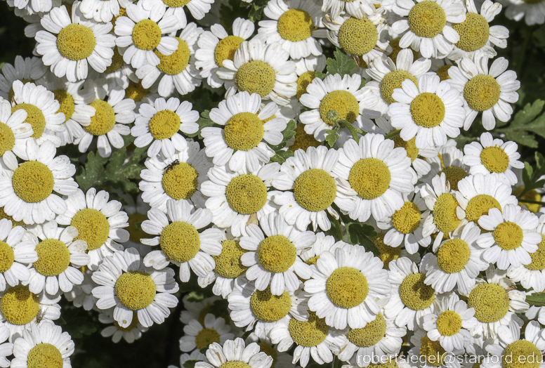 eleanor pardee park 2023